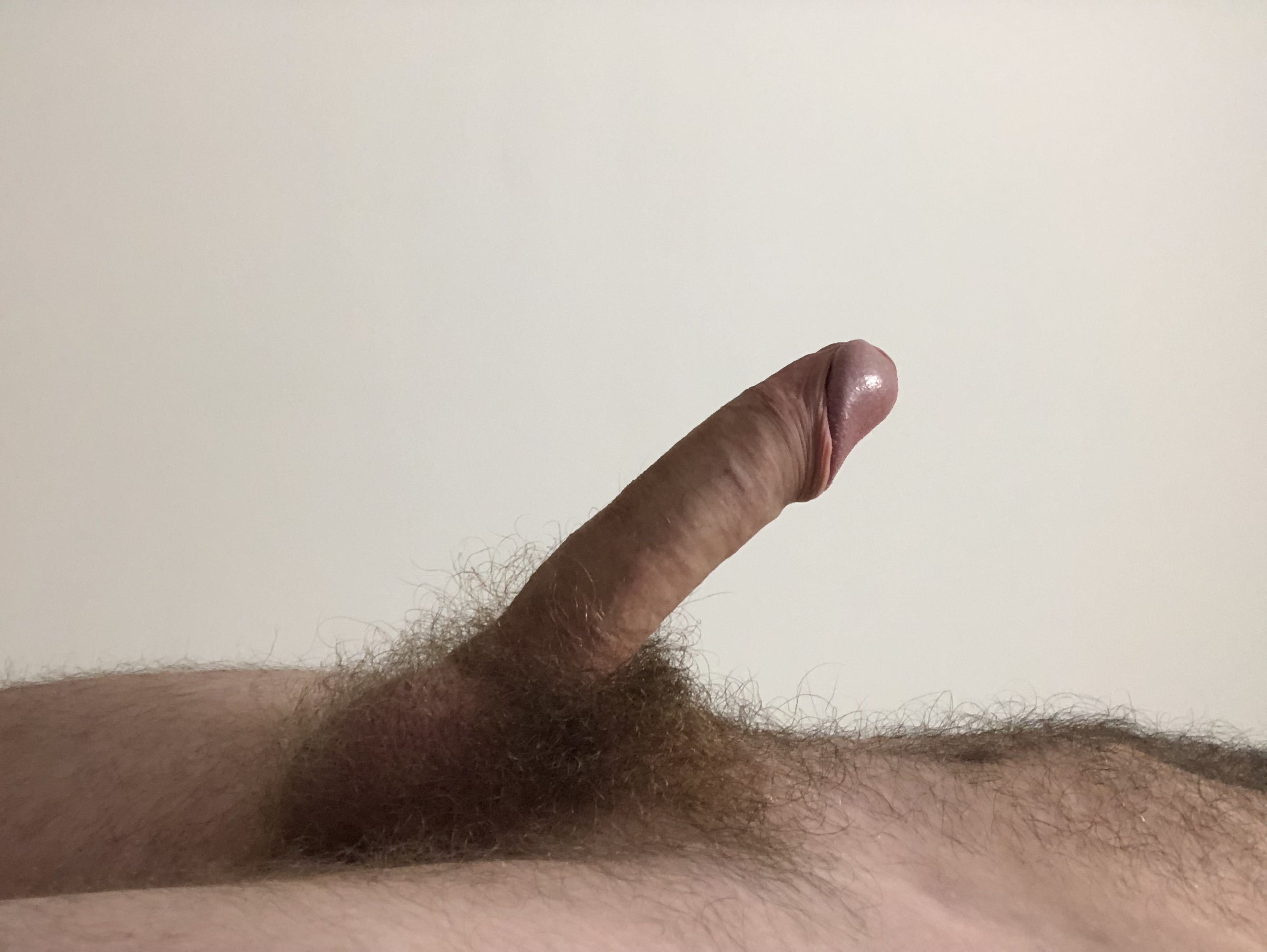 penis2.jpg